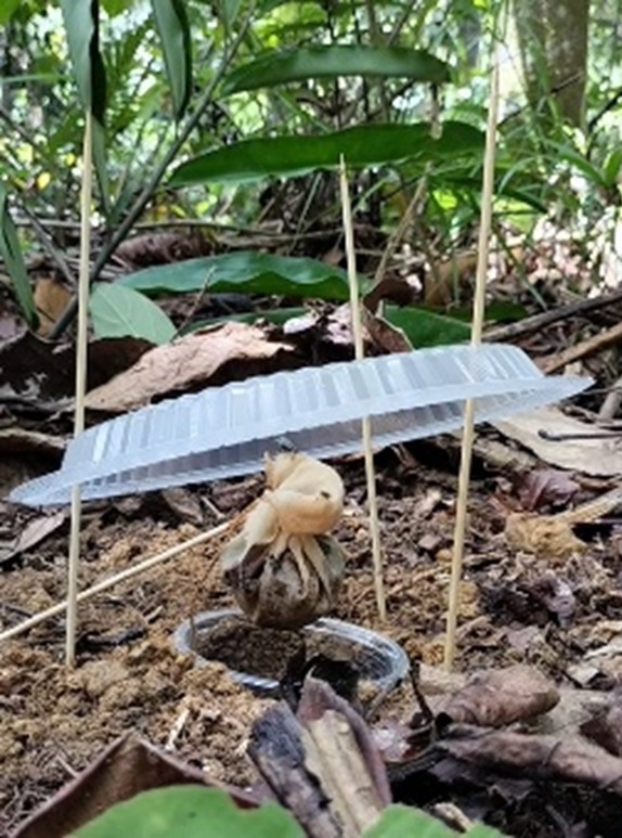 Searrp team trap deployment