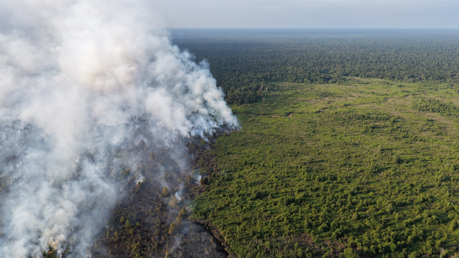 Fires in Central Kalimantan