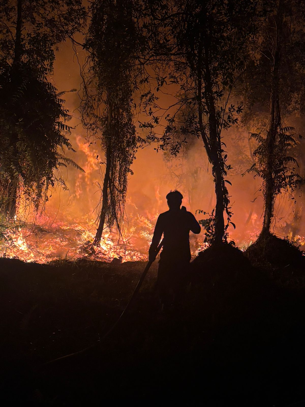 Team tackling fire outside of the project zone